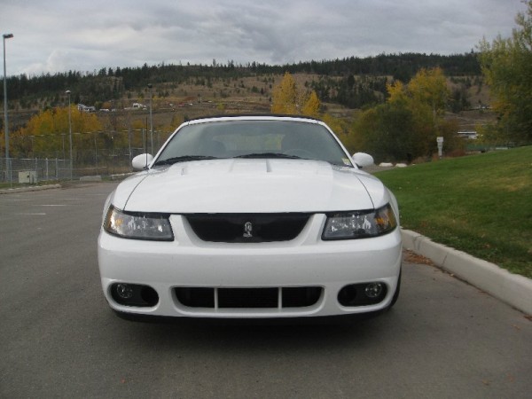 MUSTANG COBRA SVT FORD MUSTANG COBRA SVT