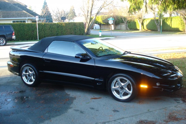Trans Am Pontiac Trans Am