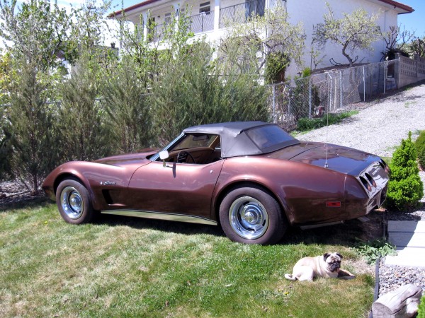 Corvette Convertible Chevrolet Corvette Convertible