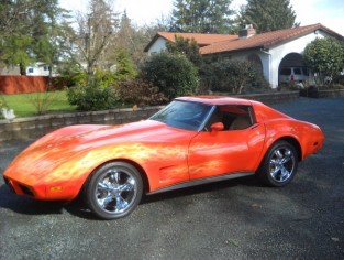 Corvette Stingray  Price on 1977 Chevrolet Corvette